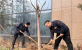 【能源使命】古天乐代言太阳集团网址： 弘扬志愿服务，齐建绿色城市   